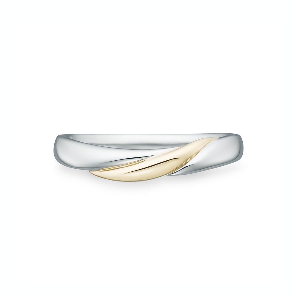 Beauty and the Beast - Eternal Rose Men's ring RBDBJ035