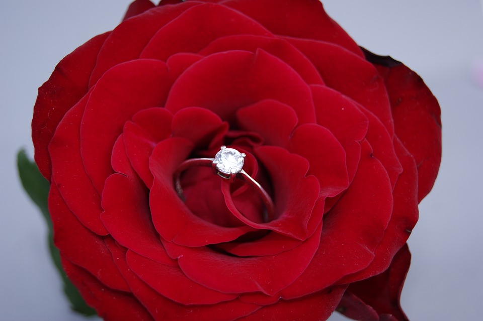 flower-3297444_960_720