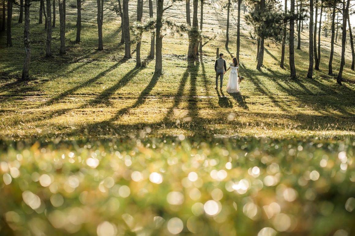 wedding-6674650_1280