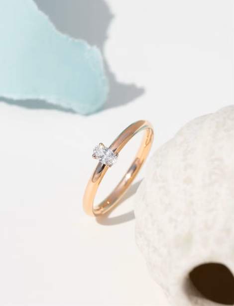 螢幕擷取畫面 2025-12-12 164151