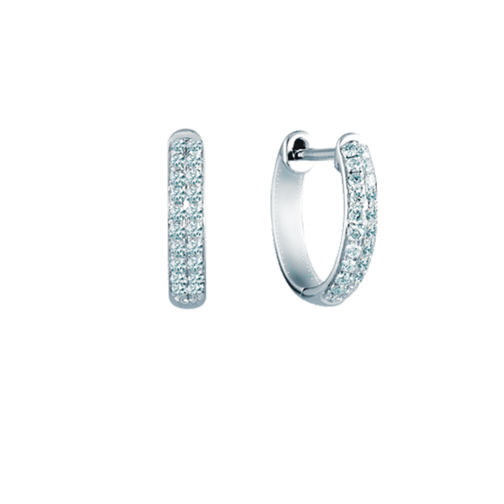EE0715 Diamond Earrings