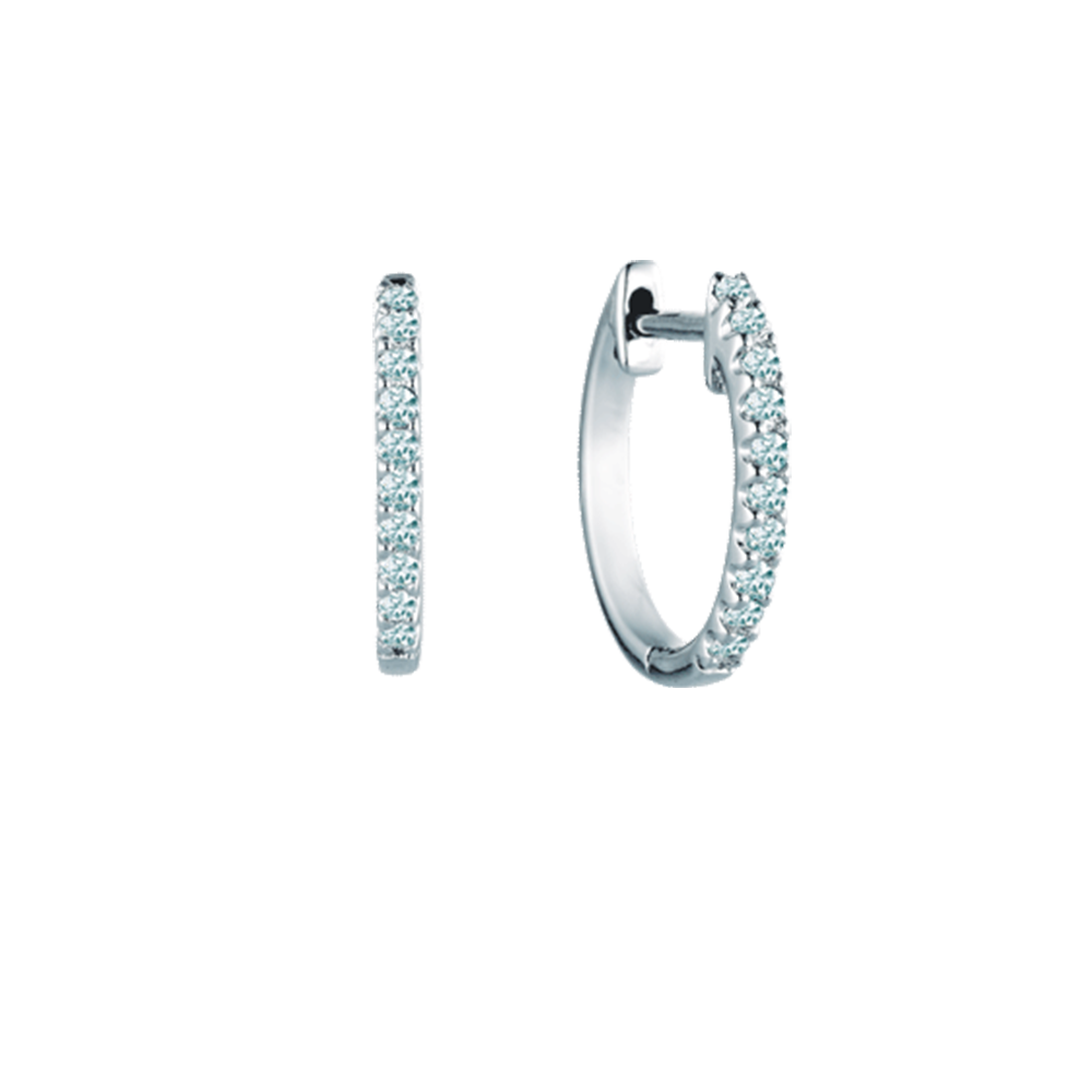 EE0722 Diamond Earrings