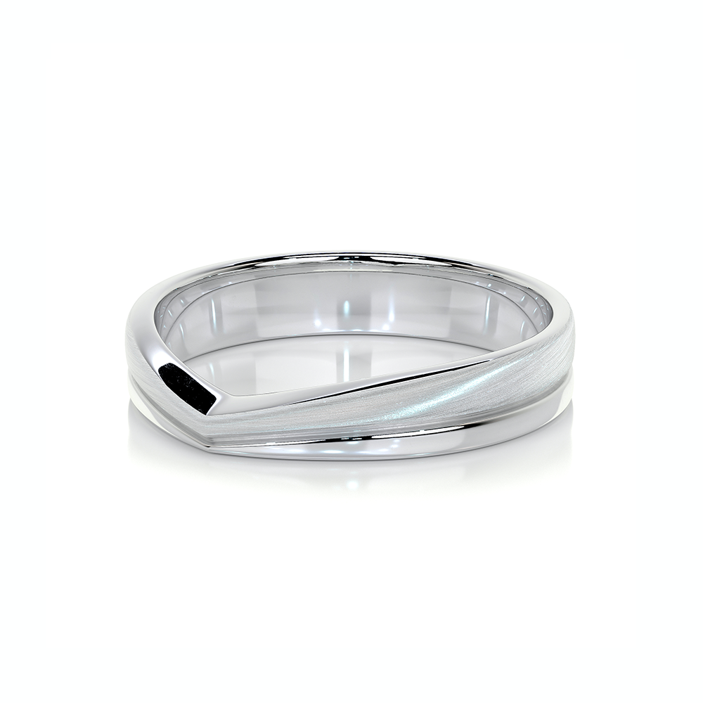 Sleeping Beauty Fearless Love  Wedding series  Men's wedding ring RBDS002