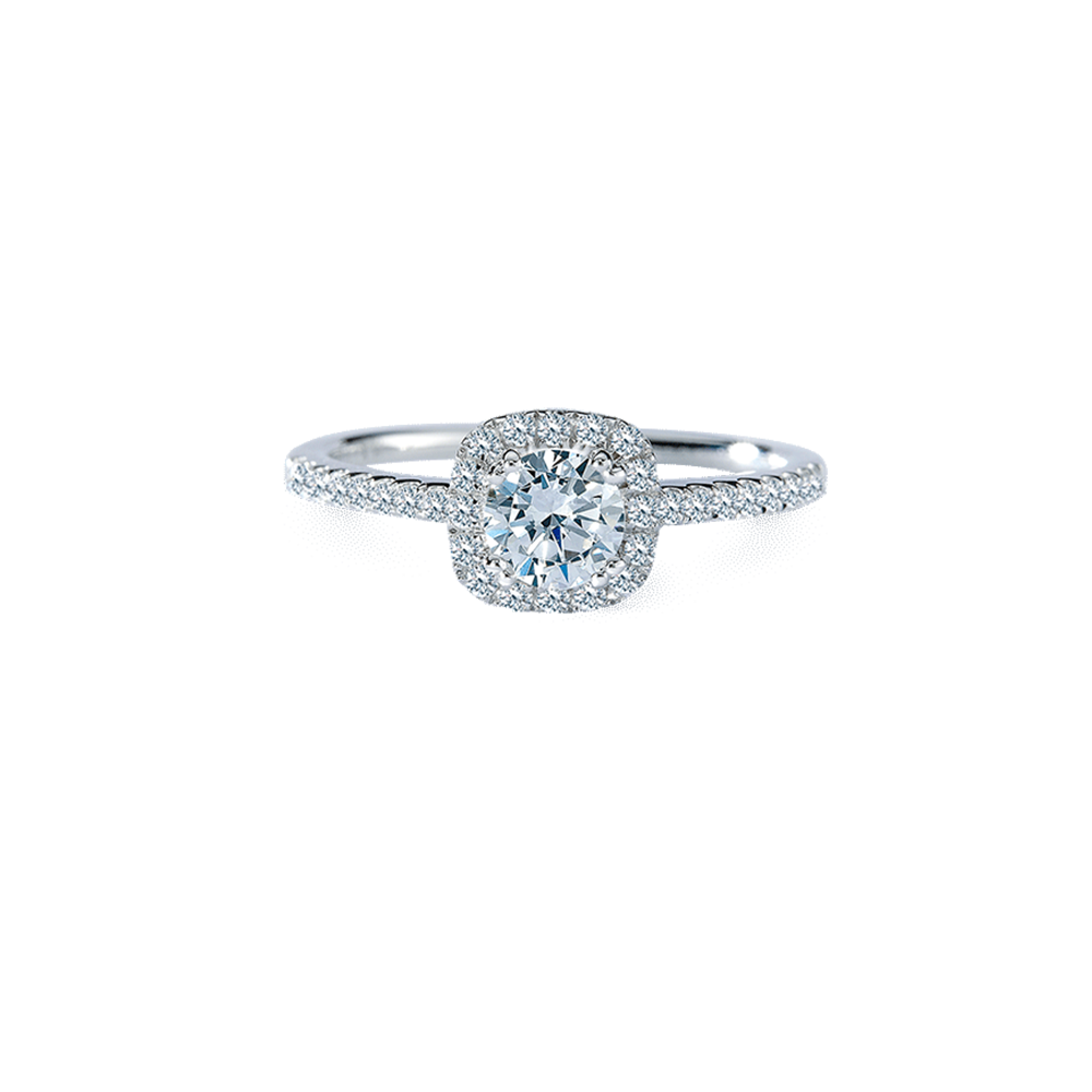 RS846 Engagement Ring